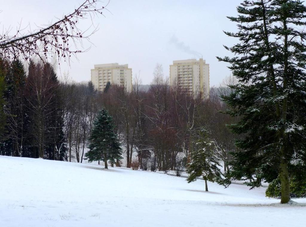Ferienapartment Mit Schwimmbad Und Bergblick Braunlage Exteriör bild