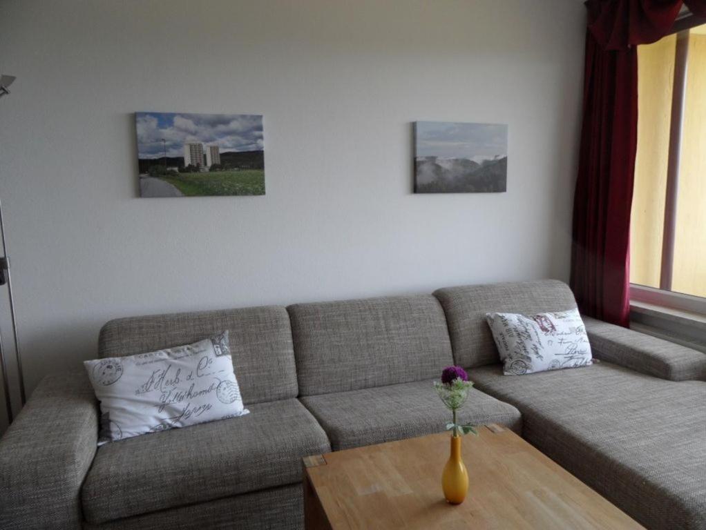 Ferienapartment Mit Schwimmbad Und Bergblick Braunlage Exteriör bild